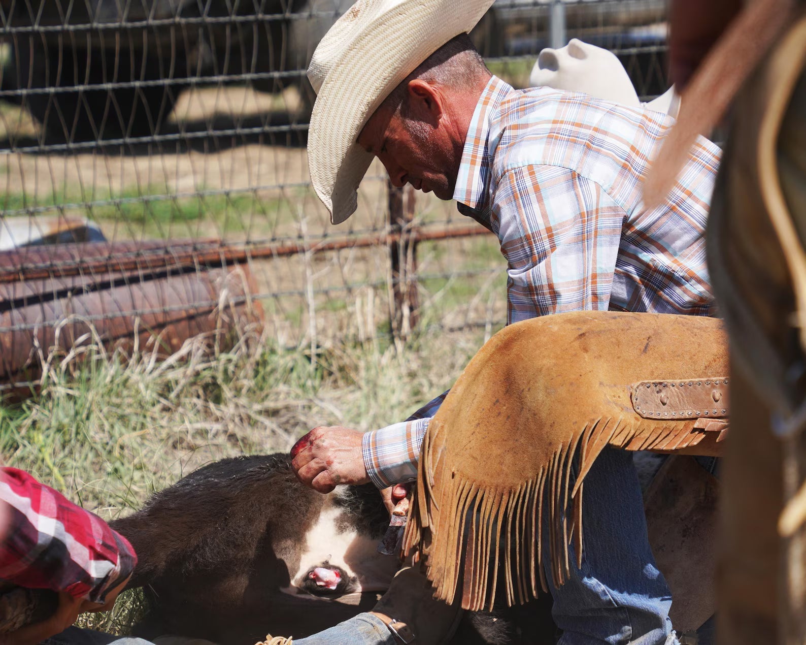 Western Cowboy Knives