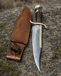 A fixed-blade knife with a polished steel blade, brass guard, dark wood handle, and antler pommel lies beside a brown leather sheath on a large rock outdoors.