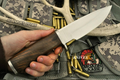 10" Hand Forged Steel Hunting Knife with Walnut Wood Handle & Handcrafted Sheath