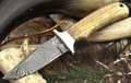 8" Hand Forged Damascus Steel EDC Knife with Wood Handle & Handcrafted Sheath