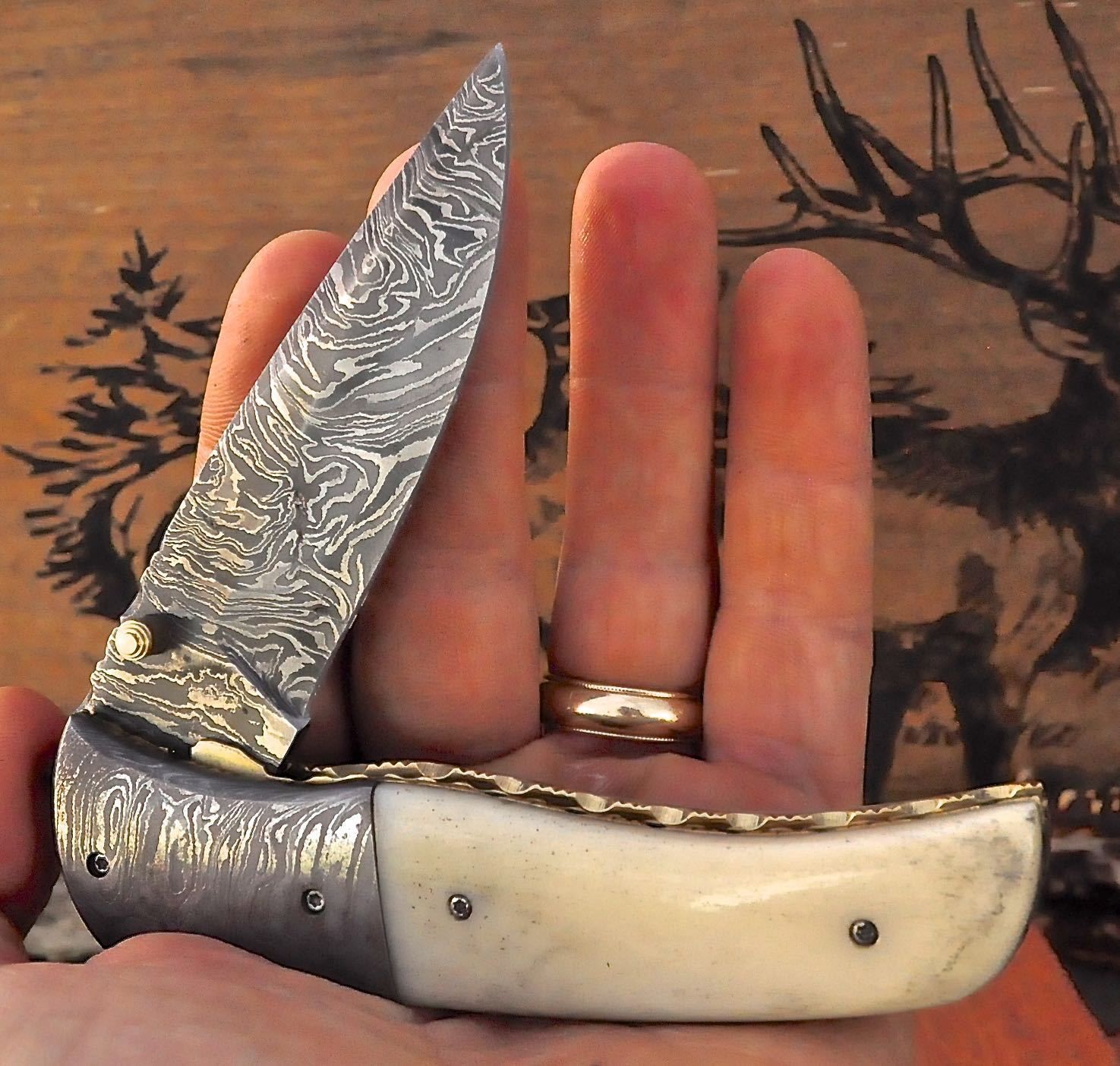 Damascus Steel Folding Pocket Knife with Camel Bone Handle With Leather Cover