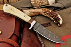 Damascus Steel Hunting Skinning Knife Handcrafted Camel Bone & Burl Wood Handle Fixed Blade
