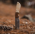 Damascus Steel Hunting Knife Handmade Wood & Bone Handle Fixed Blade With Cover