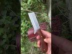 Cowboy Bull Cutter Western Belt Knife File Rasp Steel Ironwood Handle 8" with Leather Sheath